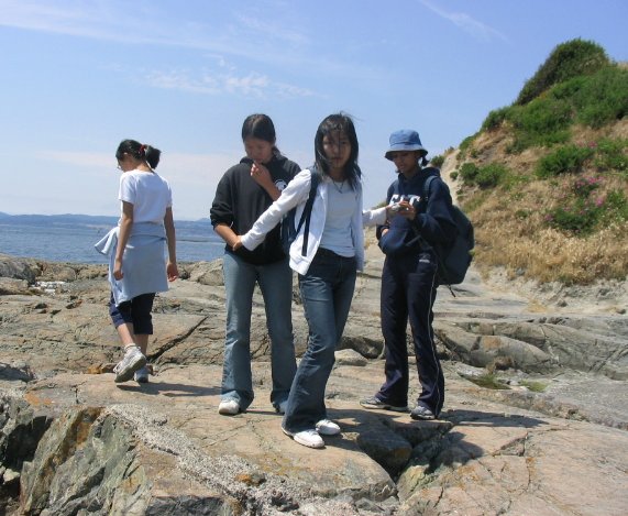 Beach 13.jpg